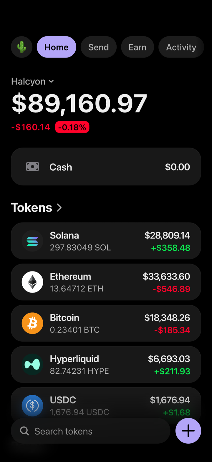 Crypto wallet portfolio screen composed in My Larp Wallet: a wallet named Halcyon, a total balance above a list of 5 tokens showing each holding and its change over the day, in a dark theme with a lavender accent.