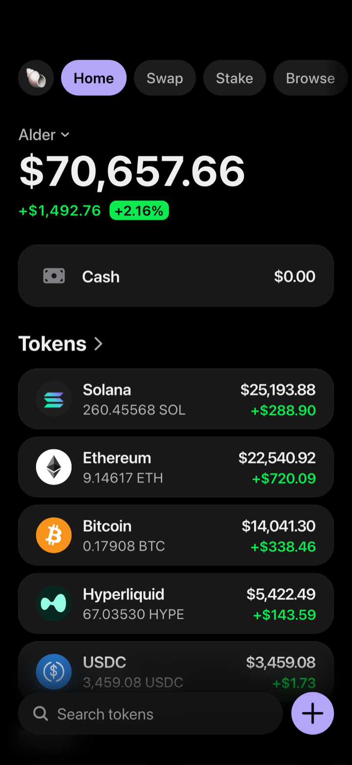 Crypto wallet portfolio screen composed in My Larp Wallet: a wallet named Alder, a total balance above a list of 5 tokens showing each holding and its change over the day, in a dark theme with a lavender accent.