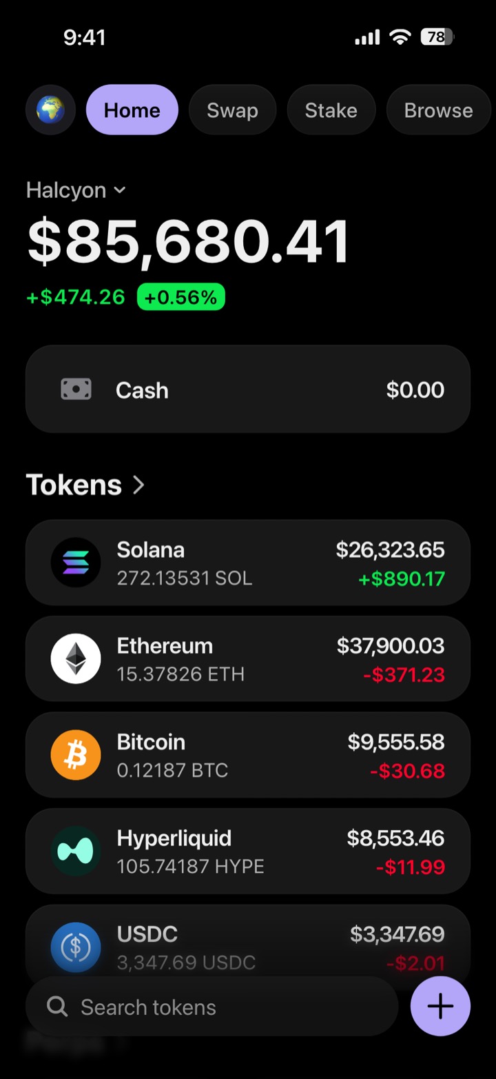 Crypto wallet portfolio screen composed in My Larp Wallet: a wallet named Halcyon, a total balance above a list of 5 tokens showing each holding and its change over the day, in a dark theme with a lavender accent.