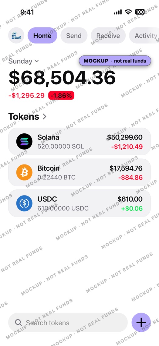 Mockup of a crypto wallet home screen in light mode: tabs Home, Send, Receive and Activity, a large SOL row above BTC and USDC.