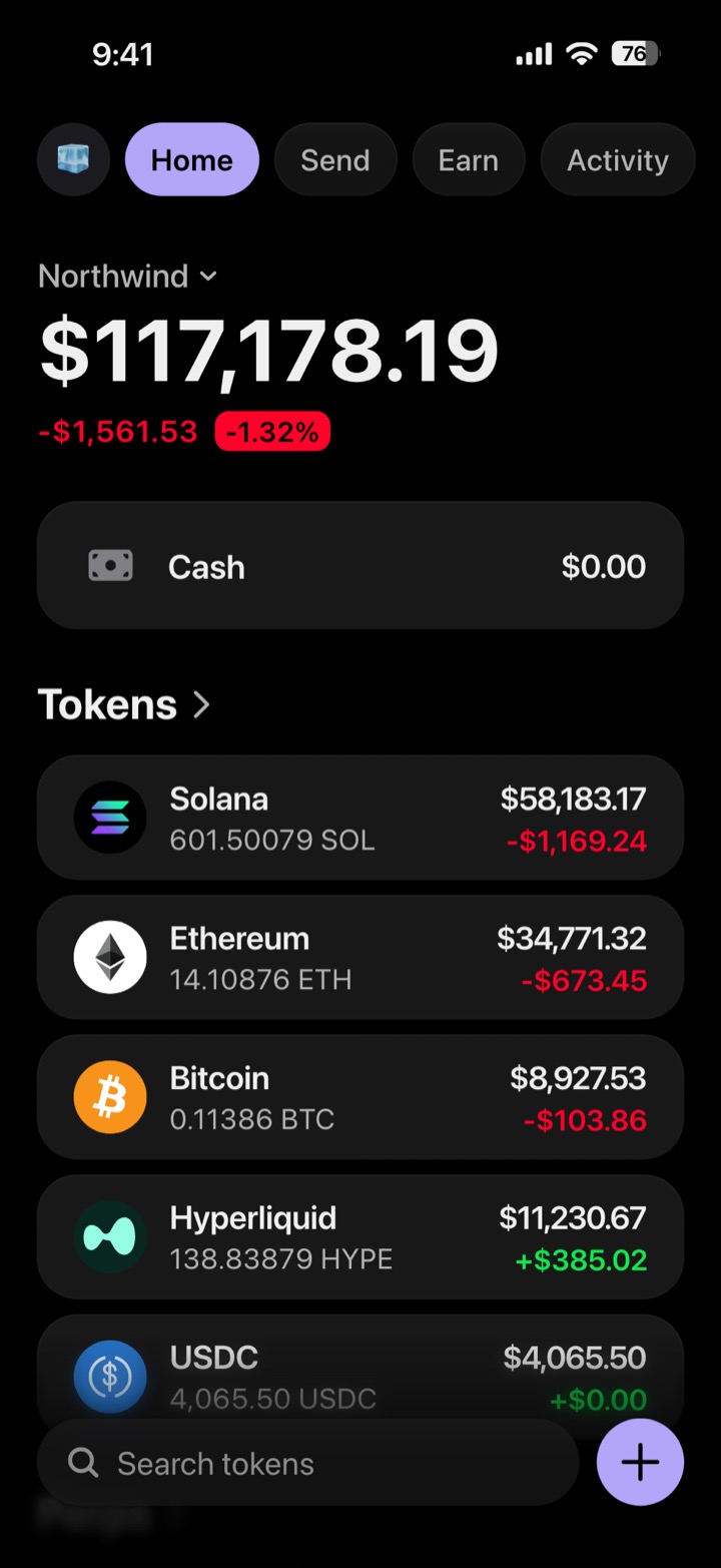 Crypto wallet portfolio screen composed in My Larp Wallet: a wallet named Northwind, a total balance above a list of 5 tokens showing each holding and its change over the day, in a dark theme with a lavender accent.