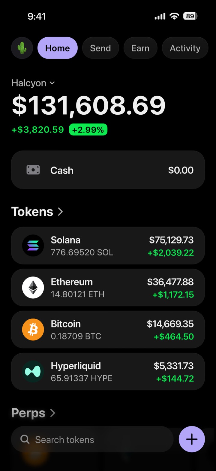 Crypto wallet portfolio screen composed in My Larp Wallet: a wallet named Halcyon, a total balance above a list of 4 tokens showing each holding and its change over the day, in a dark theme with a lavender accent.