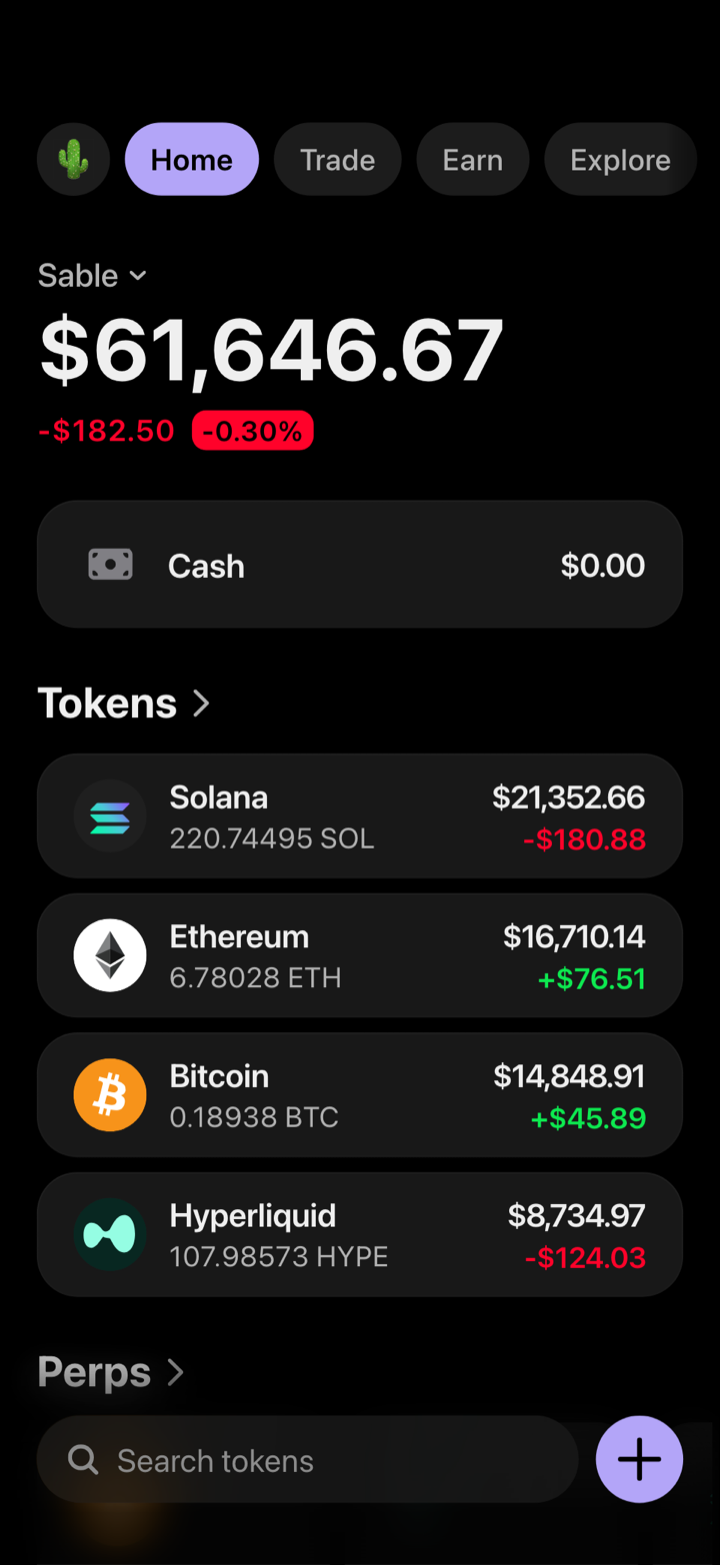 Crypto wallet portfolio screen composed in My Larp Wallet: a wallet named Sable, a total balance above a list of 4 tokens showing each holding and its change over the day, in a dark theme with a lavender accent.