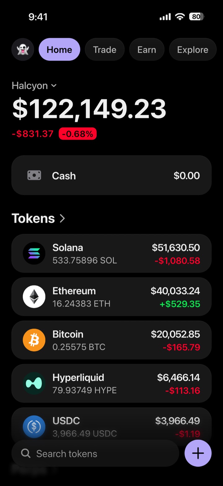 Crypto wallet portfolio screen composed in My Larp Wallet: a wallet named Halcyon, a total balance above a list of 5 tokens showing each holding and its change over the day, in a dark theme with a lavender accent.