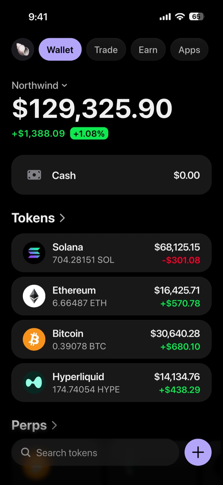 Crypto wallet portfolio screen composed in My Larp Wallet: a wallet named Northwind, a total balance above a list of 4 tokens showing each holding and its change over the day, in a dark theme with a lavender accent.