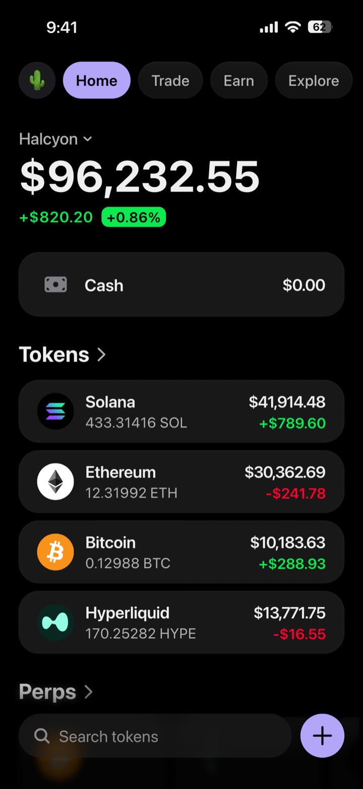 Crypto wallet portfolio screen composed in My Larp Wallet: a wallet named Halcyon, a total balance above a list of 4 tokens showing each holding and its change over the day, in a dark theme with a lavender accent.
