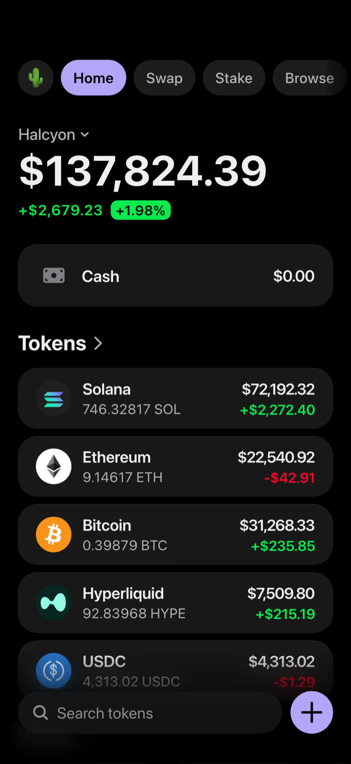 Crypto wallet portfolio screen composed in My Larp Wallet: a wallet named Halcyon, a total balance above a list of 5 tokens showing each holding and its change over the day, in a dark theme with a lavender accent.