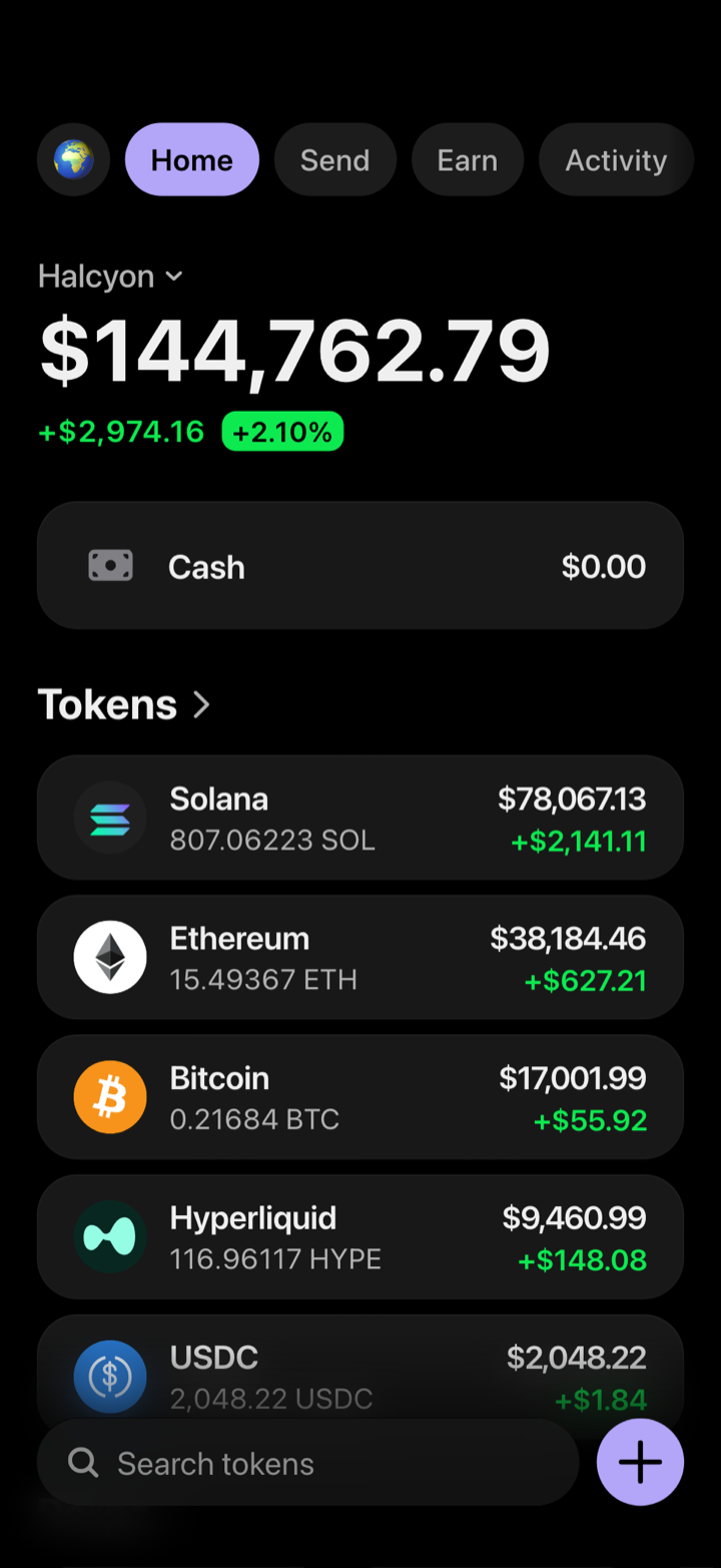 Crypto wallet portfolio screen composed in My Larp Wallet: a wallet named Halcyon, a total balance above a list of 5 tokens showing each holding and its change over the day, in a dark theme with a lavender accent.