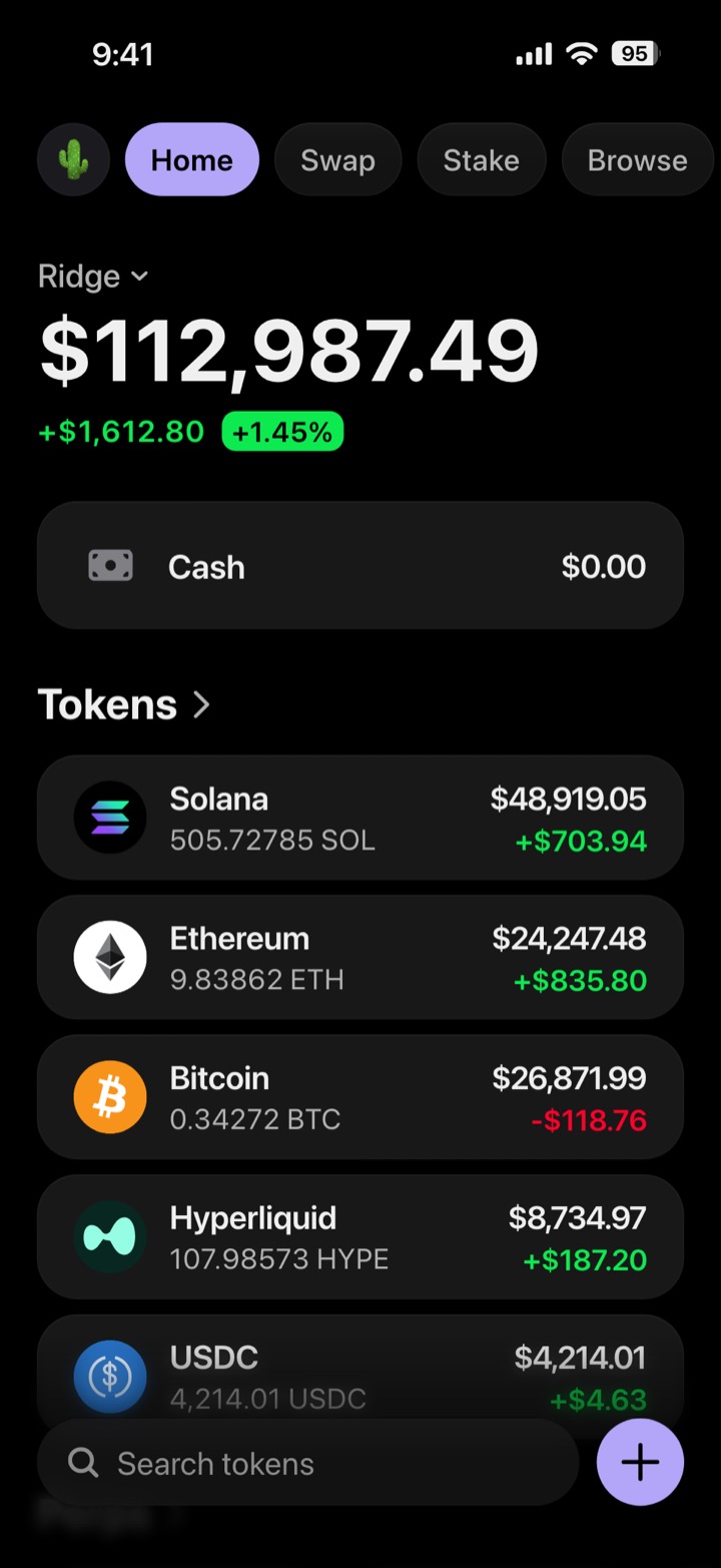 Crypto wallet portfolio screen composed in My Larp Wallet: a wallet named Ridge, a total balance above a list of 5 tokens showing each holding and its change over the day, in a dark theme with a lavender accent.