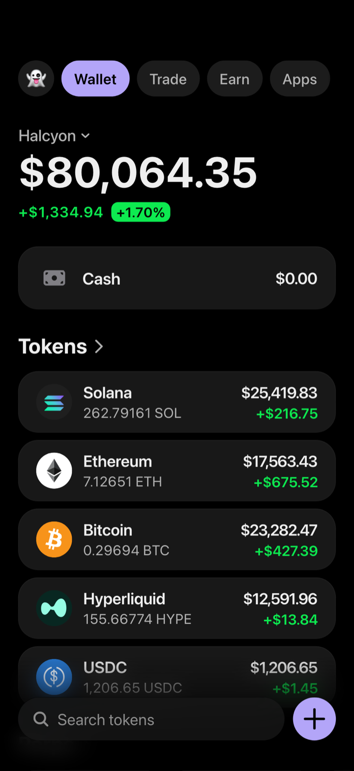 Crypto wallet portfolio screen composed in My Larp Wallet: a wallet named Halcyon, a total balance above a list of 5 tokens showing each holding and its change over the day, in a dark theme with a lavender accent.