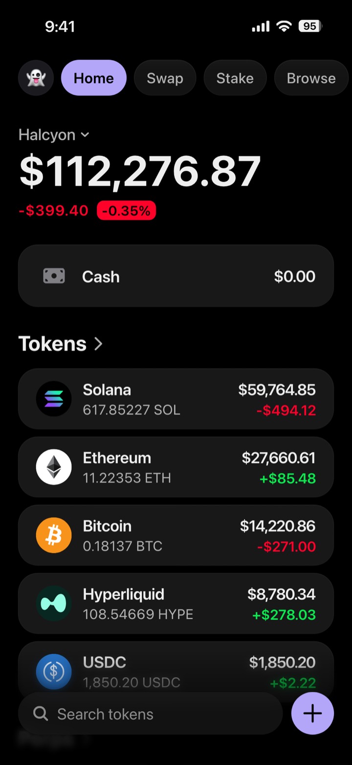Crypto wallet portfolio screen composed in My Larp Wallet: a wallet named Halcyon, a total balance above a list of 5 tokens showing each holding and its change over the day, in a dark theme with a lavender accent.